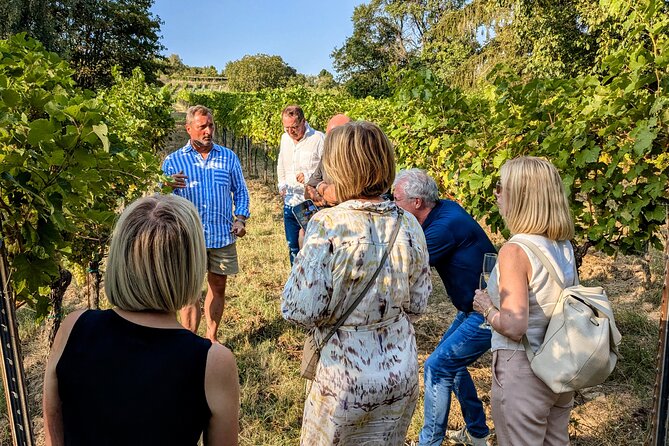 Small-group Vienna Wine Tour - At The Traditional Heuriger