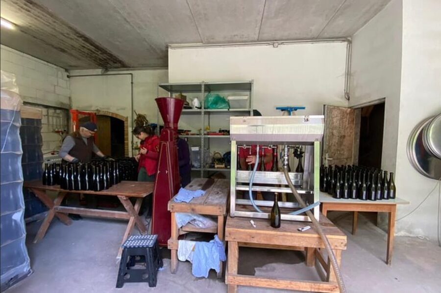 Taste and Tour Small Organic Wineries with a Winemaker - The main limitation: this is not a polished mass-market tour