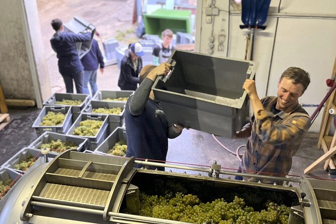 Taste and Tour Small Organic Wineries with a Winemaker - Why this small-winery tour feels different