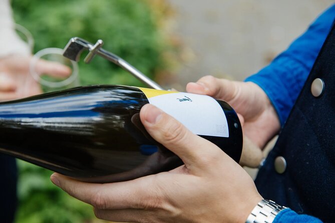 Taste and Tour Small Organic Wineries with a Winemaker - WeinSchach and the search for better Pet Nat