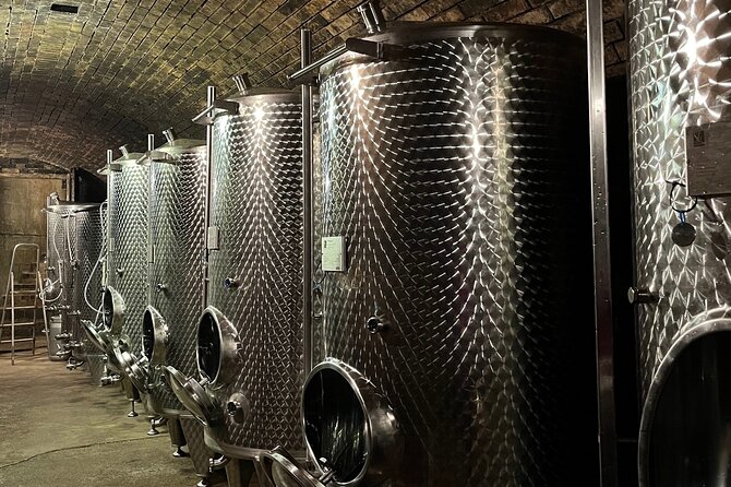 Taste and Tour Small Organic Wineries with a Winemaker - The final walk to the vineyard viewpoint