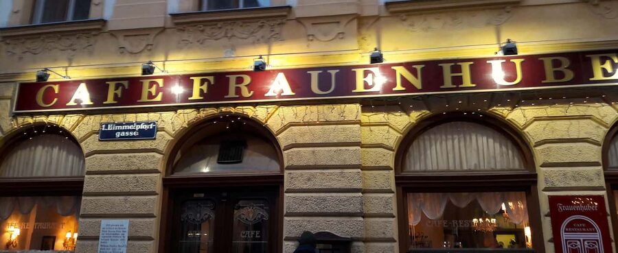 The unknown Vienna City- a guided walking tour in 3 hours - The lesser-known medieval Hofburg