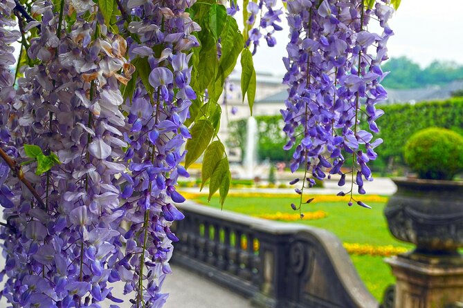 Transfer from Vienna to Salzburg with 2 hours for sightseeing - Choosing Hallstatt for the two-hour stop