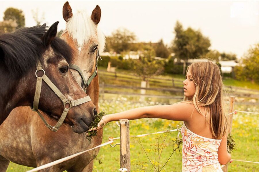 Vienna 1- or 2-Hour Professional Photo Shoot - Choosing between one hour and two