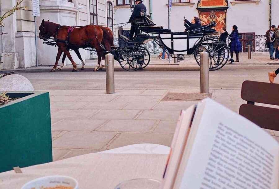 Vienna: 30-Minute Fiaker Ride in the Old Town - Key points to know before you book