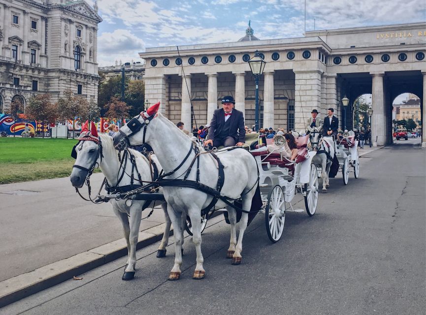 Vienna: 30-Minute Fiaker Ride in the Old Town - What the driver adds to the experience