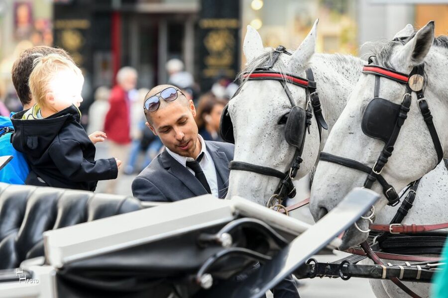 Vienna: 30-Minute Fiaker Ride in the Old Town - Comfort, horses, and the feel of the carriage