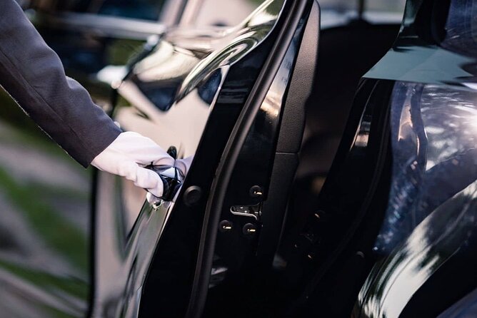 Vienna Airport Transfers From Vienna City With Private Driver - Arrival at Vienna International Airport