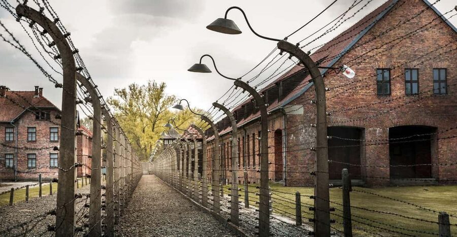 Vienna: Auschwitz Birkenau Full-Day Tour w/ Hotel Transfers - The free hour is useful, but bring a plan