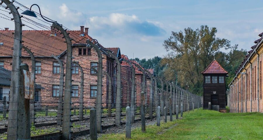 Vienna: Auschwitz Birkenau Full-Day Tour w/ Hotel Transfers - The price is high, so compare it with the effort saved