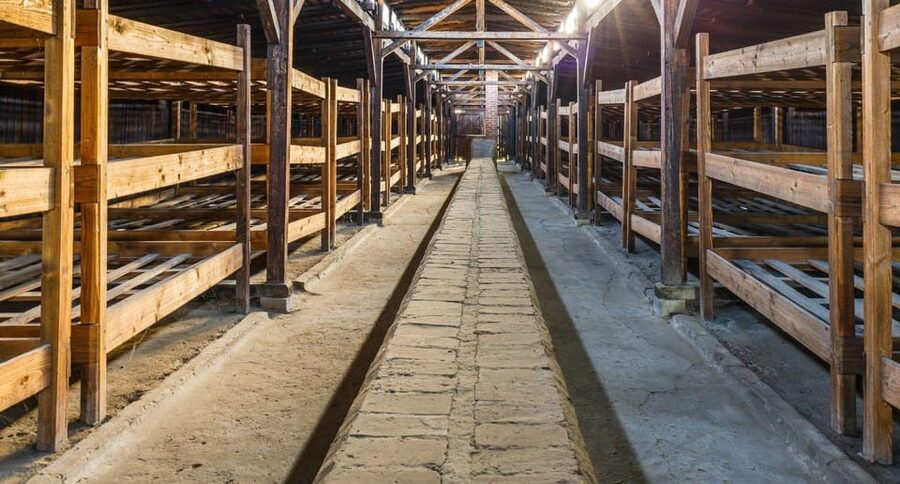 Vienna: Auschwitz Birkenau Full-Day Tour w/ Hotel Transfers - Timing needs more care than usual
