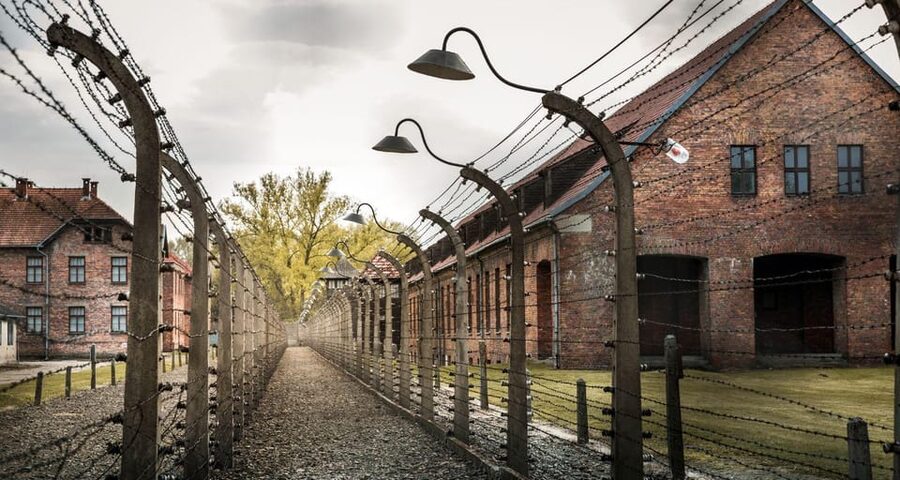 Vienna: Auschwitz Birkenau Full-Day Tour w/ Hotel Transfers - Practical advice for making the day work