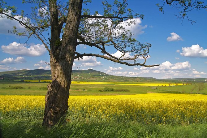 Vienna-Budapest One-Way Sightseeing Transfer - Why this transfer works better than a plain travel day