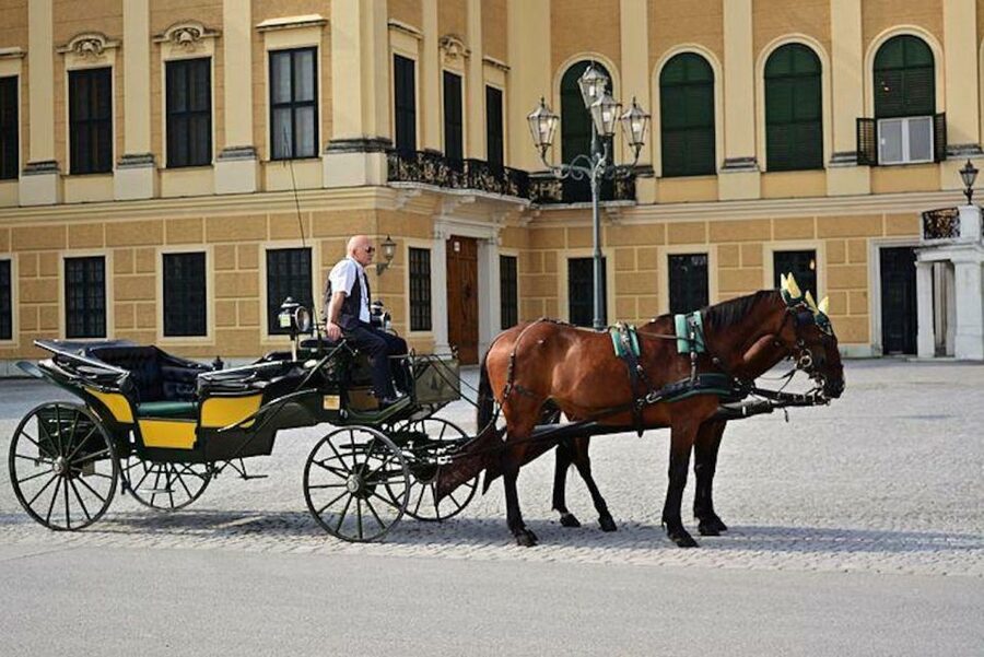 Vienna: Carriage Ride Through Schönbrunn Palace Gardens - Meeting the Fiaker in front of Schönbrunn Palace