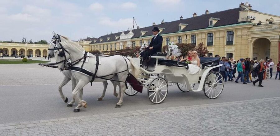 Vienna: Carriage Ride Through Schönbrunn Palace Gardens - Neptune Fountain and the grand garden axis