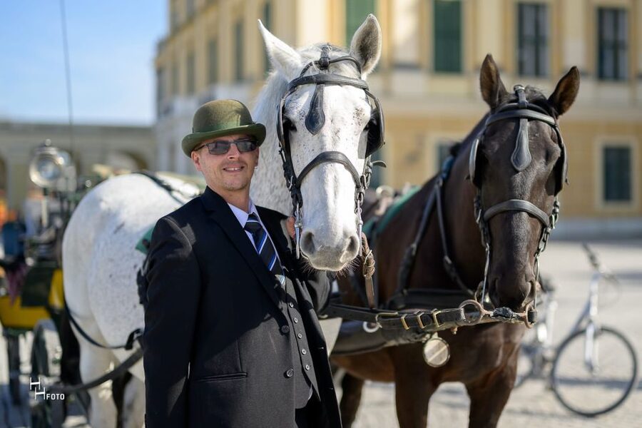 Vienna: Carriage Ride Through Schönbrunn Palace Gardens - Stories from a Viennese Fiaker