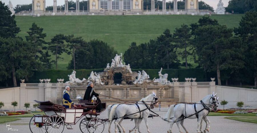 Vienna: Carriage Ride Through Schönbrunn Palace Gardens - Why the private group format matters