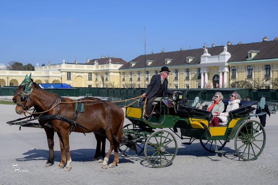 Vienna: Carriage Ride Through Schönbrunn Palace Gardens - Is $108 good value for 30 minutes?