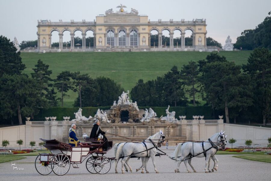 Vienna: Carriage Ride Through Schönbrunn Palace Gardens - How to fit the ride into your Schönbrunn visit