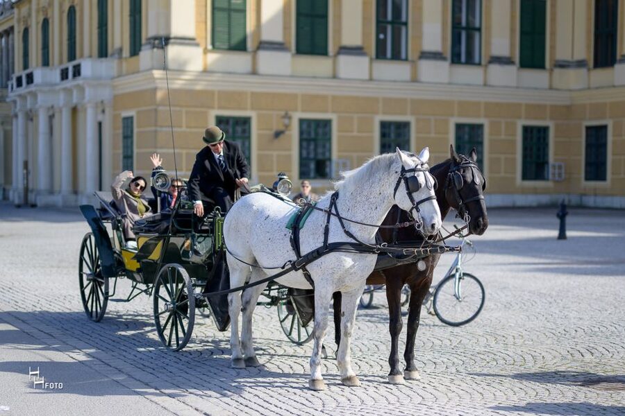 Vienna: Carriage Ride Through Schönbrunn Palace Gardens - The first view of the baroque garden