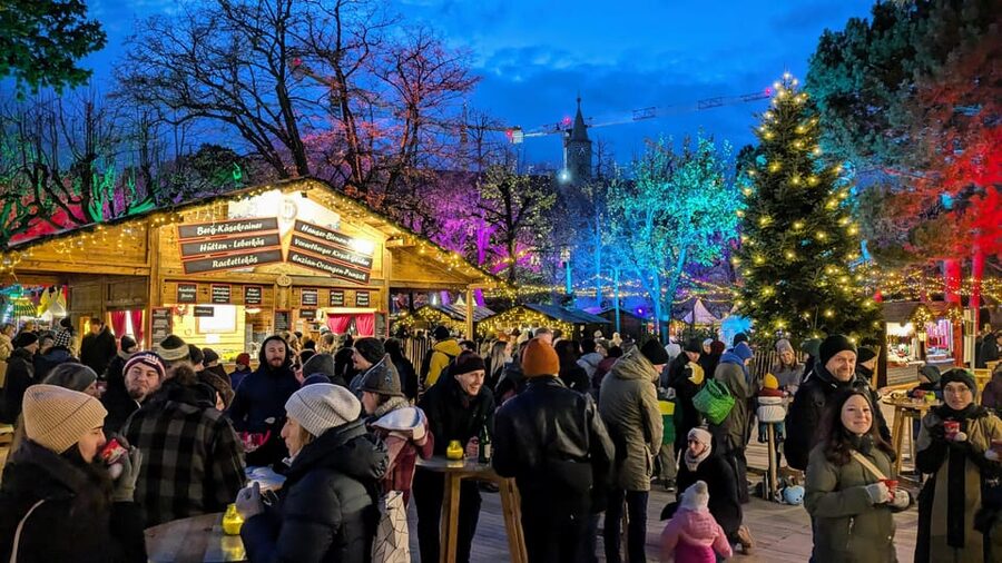 Vienna: Christmas Market Food and Drinks Tour - From Vienna’s 7th district to an old university campus