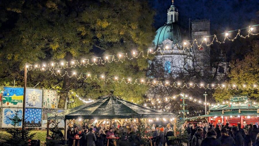 Vienna: Christmas Market Food and Drinks Tour - Who should book this Christmas market walk?
