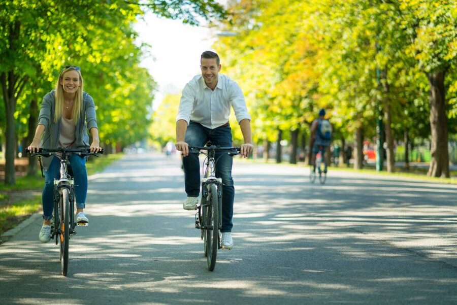 Vienna: City Highlights Guided Bike Tour - The Kunsthistorisches Museum and Vienna’s artistic power