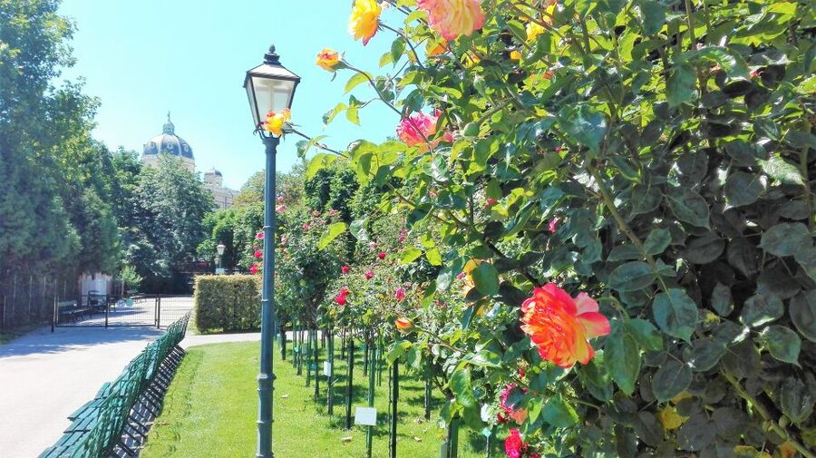 Vienna: City Highlights Guided Walking Tour & Old Town - Why this two-hour Vienna walk works well as an introduction
