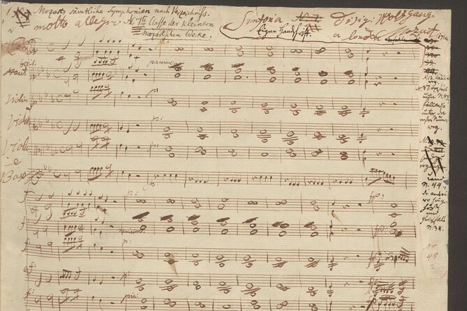 Vienna: City of Music Private Walking Tour - Beethoven’s monument and a restless life