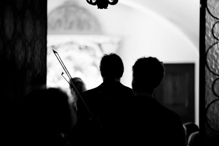 Vienna: Classic Ensemble Vienna in St. Peter's Church Ticket - Who should book this experience?