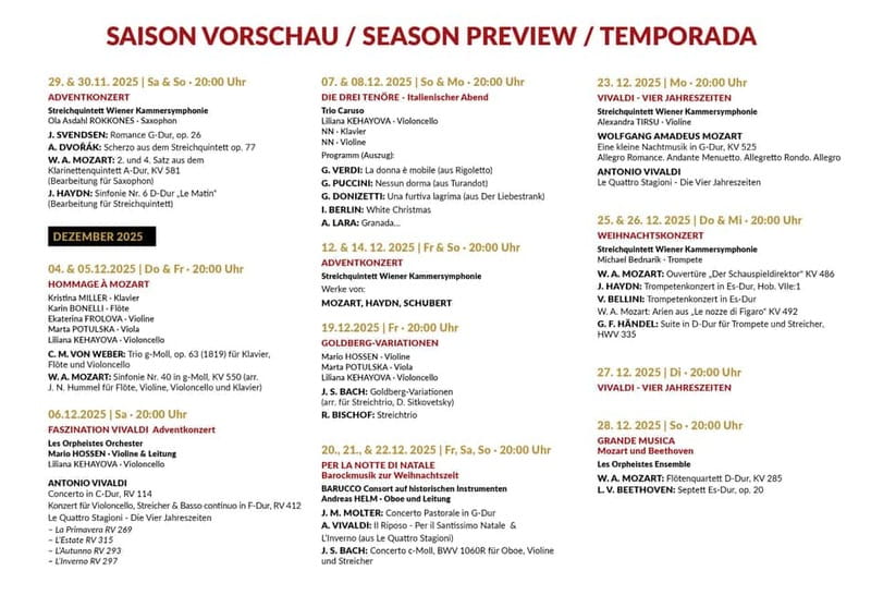 Vienna: Classical Concerts in the Minorite Church Ticket - Is $22 a good value?