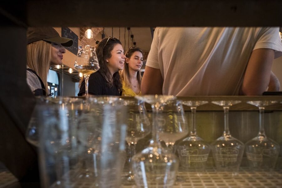 Vienna: Craft Beer Tasting Experience with Local Snacks - Learning how Austrian beer is made