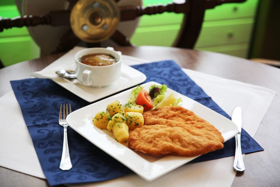 Vienna: Cruise and Schnitzel Tour - Service, commentary, and comfort on board