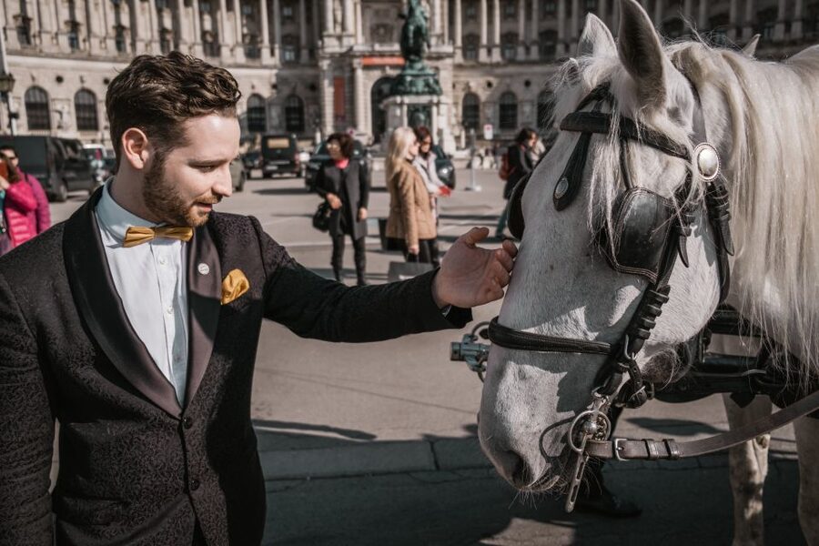 Vienna: Culinary Horse-Drawn Carriage Experience - Key points to know before you book