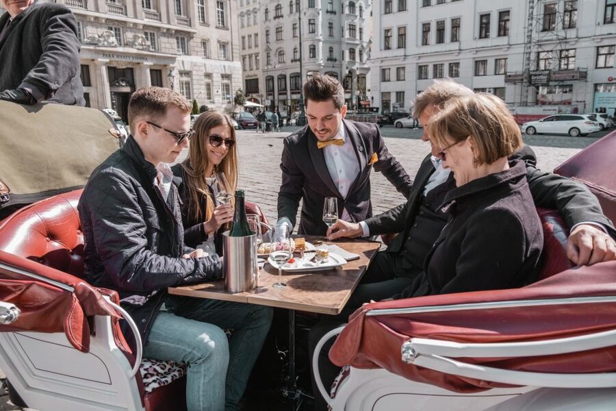 Vienna: Culinary Horse-Drawn Carriage Experience - Who will enjoy this most?