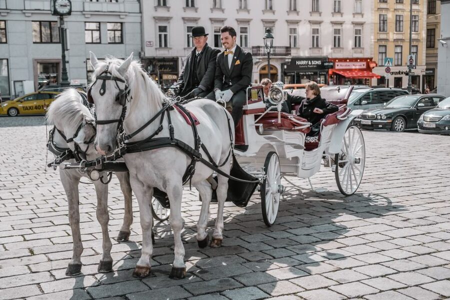 Vienna: Culinary Horse-Drawn Carriage Experience - The guide and butler service