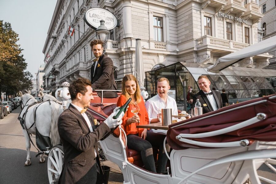 Vienna: Culinary Horse-Drawn Carriage Experience - Weather, seasons, and the best time to go
