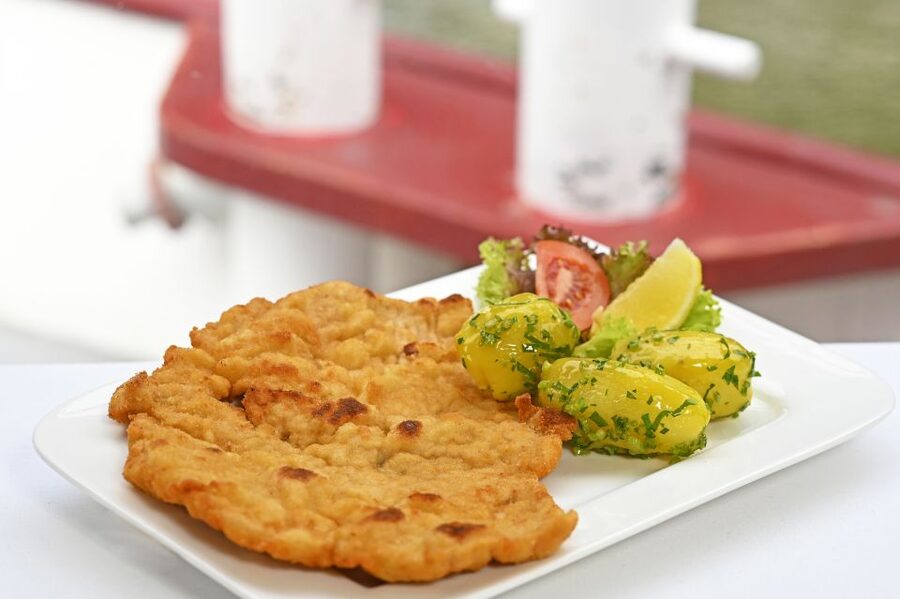 Vienna: Danube River Cruise w/ optional Viennese Specialties - Choosing Between the 1.5-Hour and 3.5-Hour Cruise