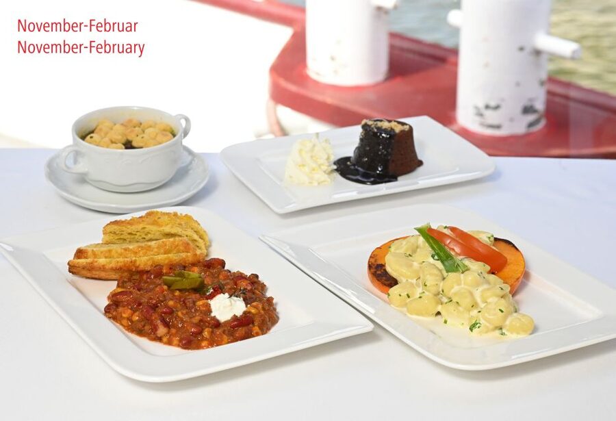 Vienna: Danube River Cruise w/ optional Viennese Specialties - Spittelau, Ringturm, and Vienna’s Unusual Architecture
