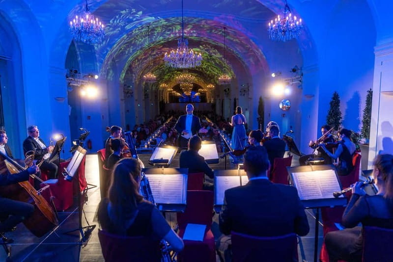 Vienna: Dinner & Concert at Schönbrunn Palace - Practical tips for a smoother evening