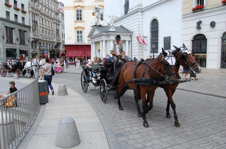 Vienna Full Day Tour from Prague - The guide and transport experience
