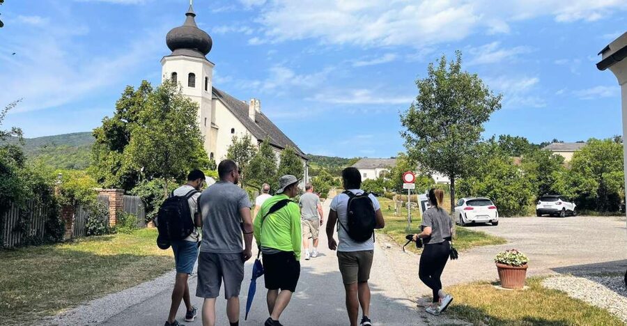 Vienna: Full-Day Vienna Woods Wine Tasting Tour - Summer Begins in Beethoven’s Baden
