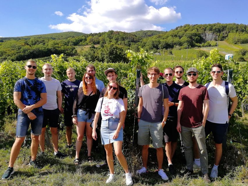 Vienna: Full-Day Vienna Woods Wine Tasting Tour - What $187 Buys You