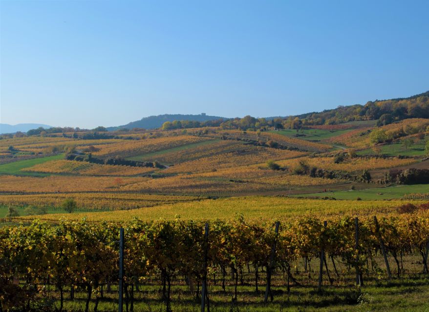Vienna: Full-Day Vienna Woods Wine Tasting Tour - Practical Advice Before You Go