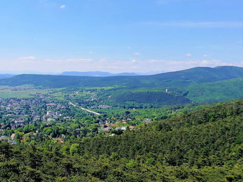 Vienna: Full-Day Vienna Woods Wine Tasting Tour - Should You Book the Vienna Woods Wine Tour?