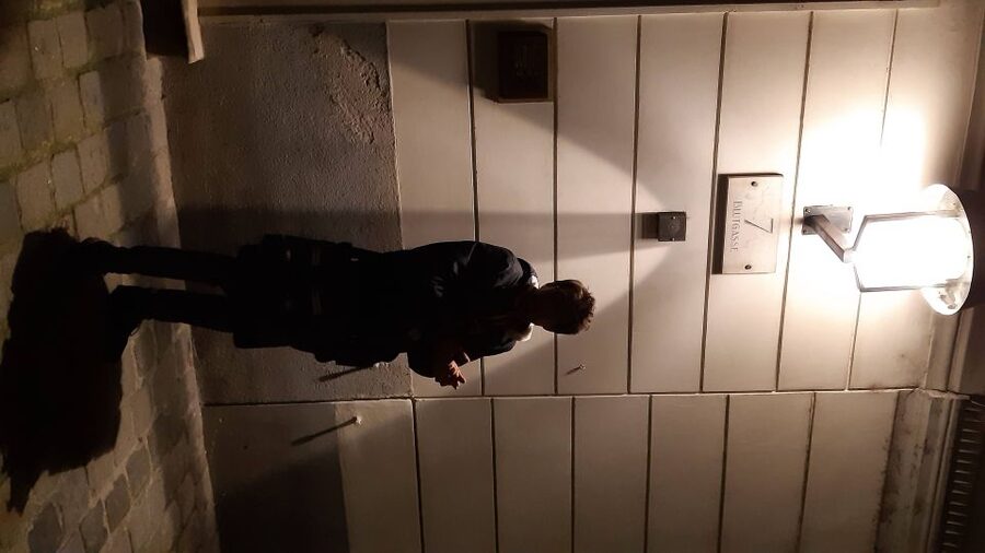 Vienna: German Guided Ghost Tour of Spooky Vienna - Who will enjoy this ghost tour?