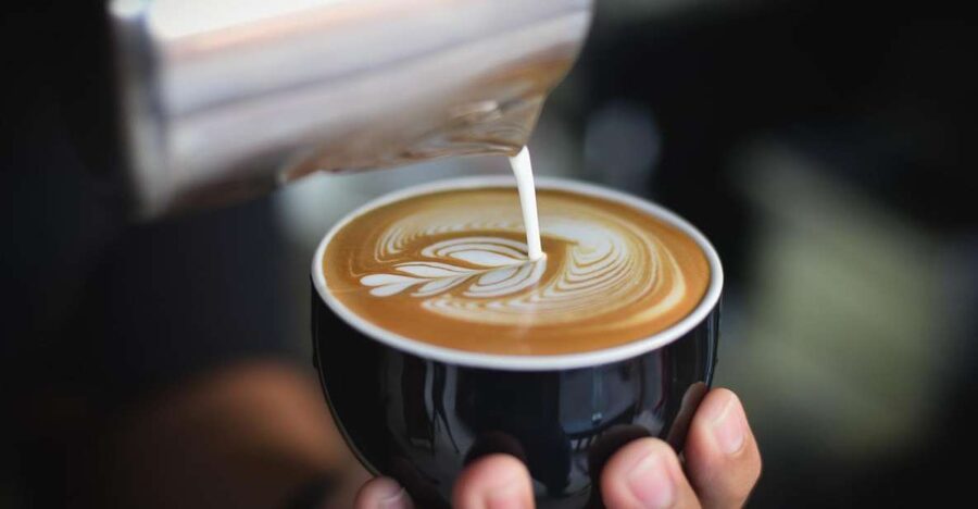 Vienna: Guided Viennese Coffee-House Tour - Meeting your guide and starting the walk
