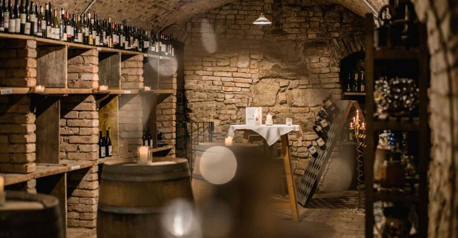 Vienna: Hidden Wine Cellars Tasting Experience - First Cellar: The Tour Moves Below Street Level