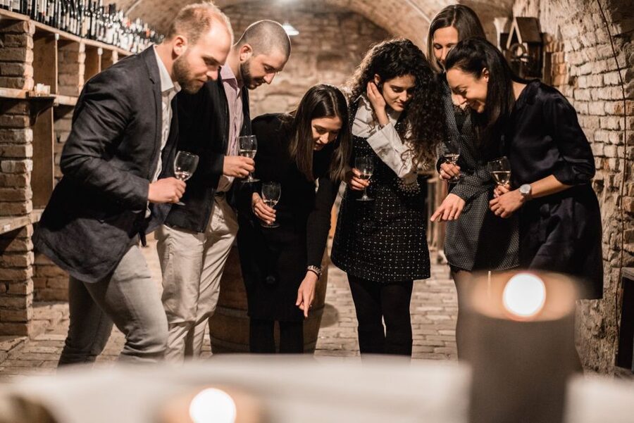 Vienna: Hidden Wine Cellars Tasting Experience - The Language Question: English and German