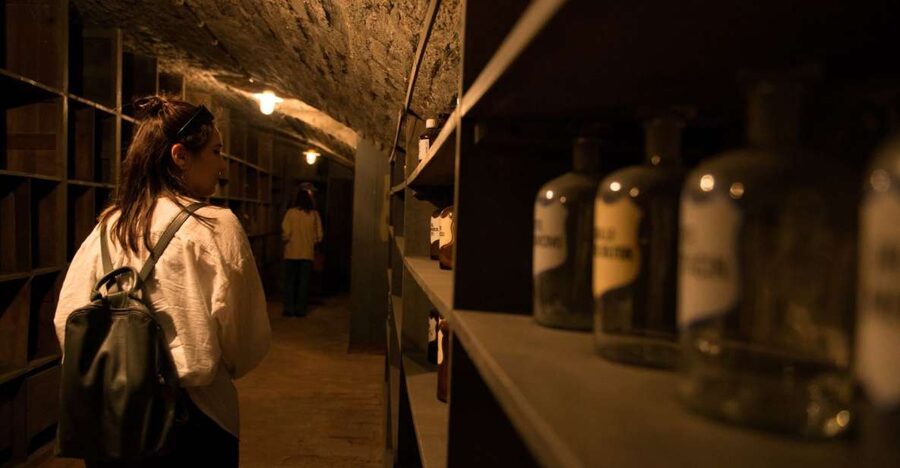 Vienna: Historical Pharmacy Cellar Guided Tour - Key points at a glance